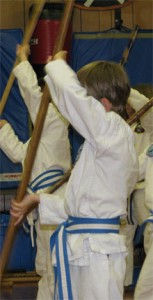 Junior student performing a bo kata.